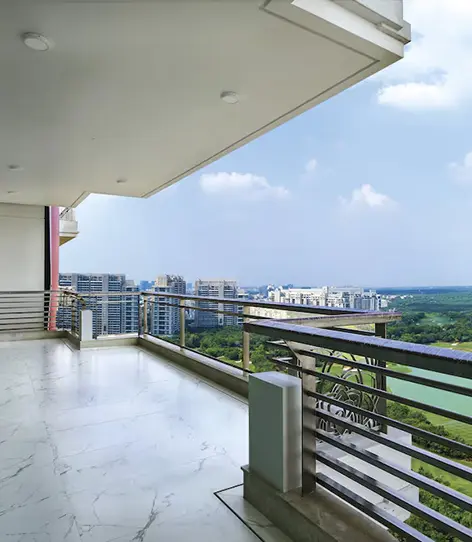 DLF Camellias view 3